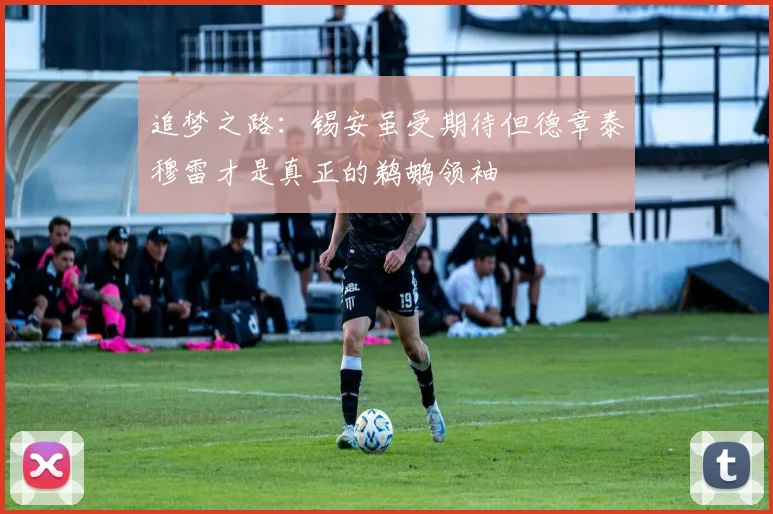 追梦之路：锡安虽受期待但德章泰穆雷才是真正的鹈鹕领袖