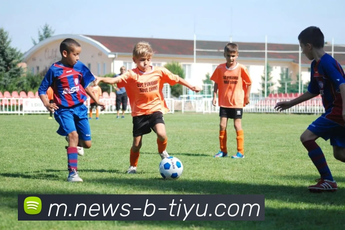 B体育平台生态图