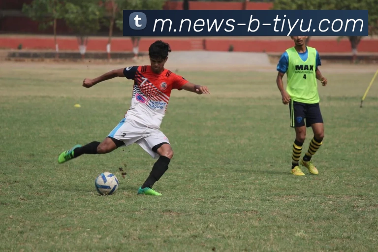 B体育APP 封面图